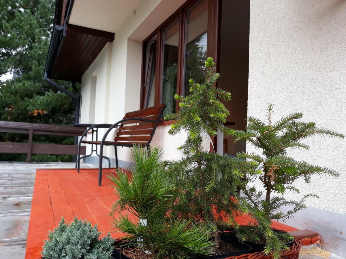 Willa Sichla Murzasichle Apartamento Exterior foto